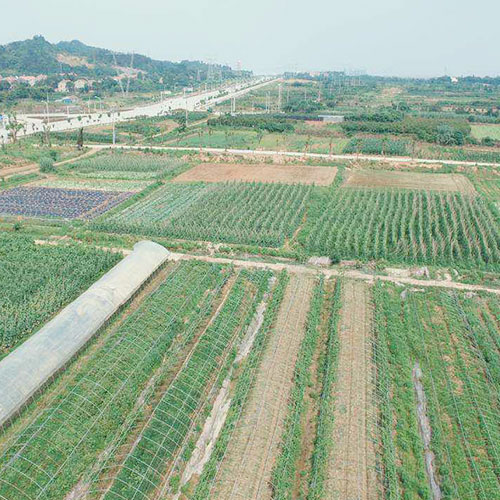 云南基地种植基地深圳市七亩地农产品实业有限公司